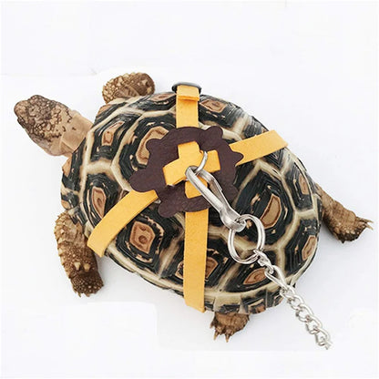 Pet Turtle Safety Belt - Portable Traction Rope for Outdoor Training - ZOOMNSTORE