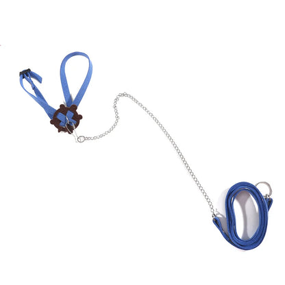 Pet Turtle Safety Belt - Portable Traction Rope for Outdoor Training - ZOOMNSTORE