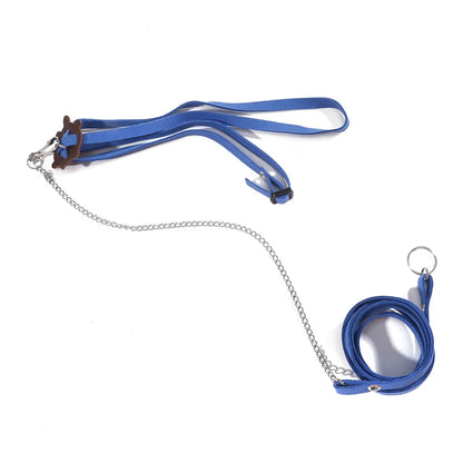 Pet Turtle Safety Belt - Portable Traction Rope for Outdoor Training - ZOOMNSTORE