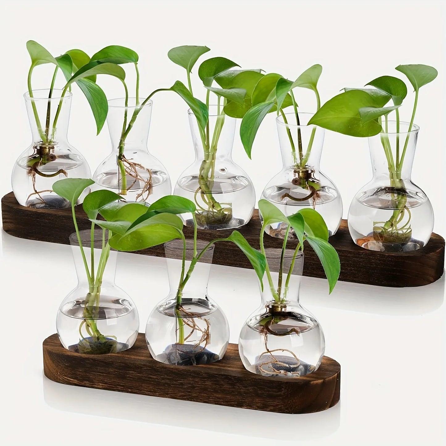 Modern Glass Terrarium with Wooden Tray - Indoor Hydroponics Propagation Station - ZOOMNSTORE