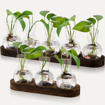 Modern Glass Terrarium with Wooden Tray - Indoor Hydroponics Propagation Station - ZOOMNSTORE