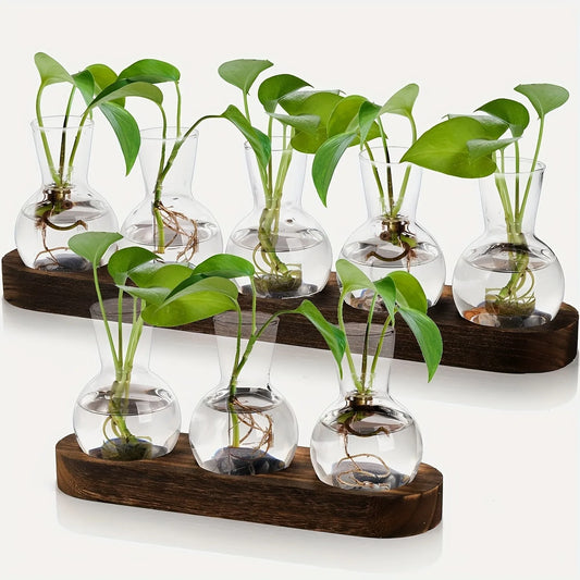 Modern Glass Terrarium with Wooden Tray - Indoor Hydroponics Propagation Station - ZOOMNSTORE