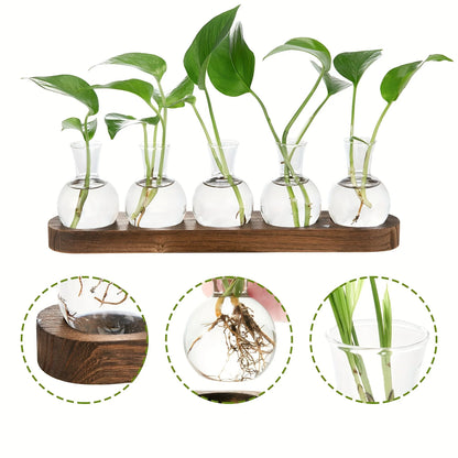 Modern Glass Terrarium with Wooden Tray - Indoor Hydroponics Propagation Station - ZOOMNSTORE
