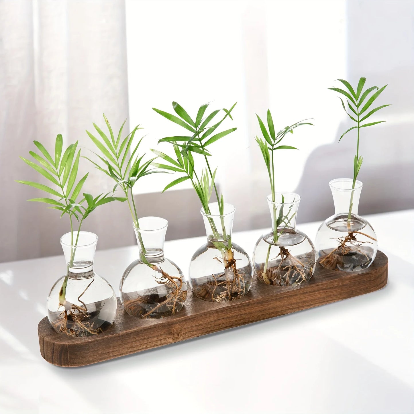 Modern Glass Terrarium with Wooden Tray - Indoor Hydroponics Propagation Station - ZOOMNSTORE