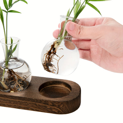 Modern Glass Terrarium with Wooden Tray - Indoor Hydroponics Propagation Station - ZOOMNSTORE