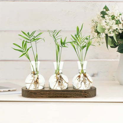 Modern Glass Terrarium with Wooden Tray - Indoor Hydroponics Propagation Station - ZOOMNSTORE