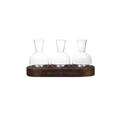 Modern Glass Terrarium with Wooden Tray - Indoor Hydroponics Propagation Station - ZOOMNSTORE