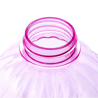 Plant Watering Mister - 350ml Clear Plastic Spray Bottle With Pump Action Trigger - ZOOMNSTORE