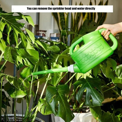 Plastic Watering Can With Detachable Shower Head – Ergonomic Curved Handle, Precise Pouring Spout, 4L/6L/8L Capacity - ZOOMNSTORE