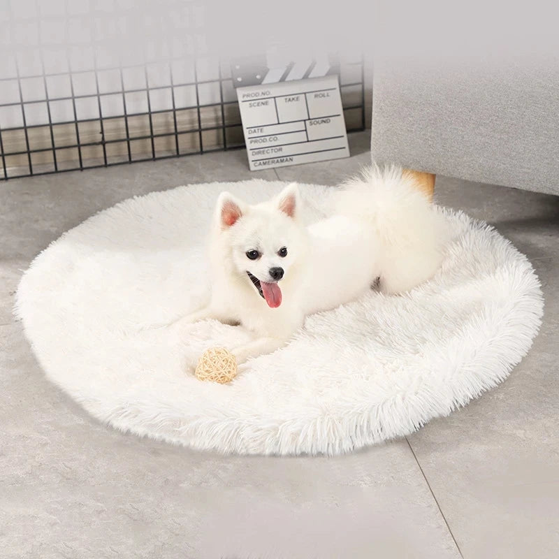 Plush Round Cat Bed - Soft Fleece Pet Mat for Kittens and Small Dogs - ZOOMNSTORE