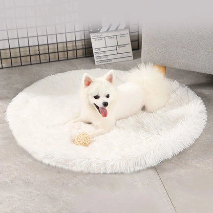 Plush Round Cat Bed - Soft Fleece Pet Mat for Kittens and Small Dogs - ZOOMNSTORE
