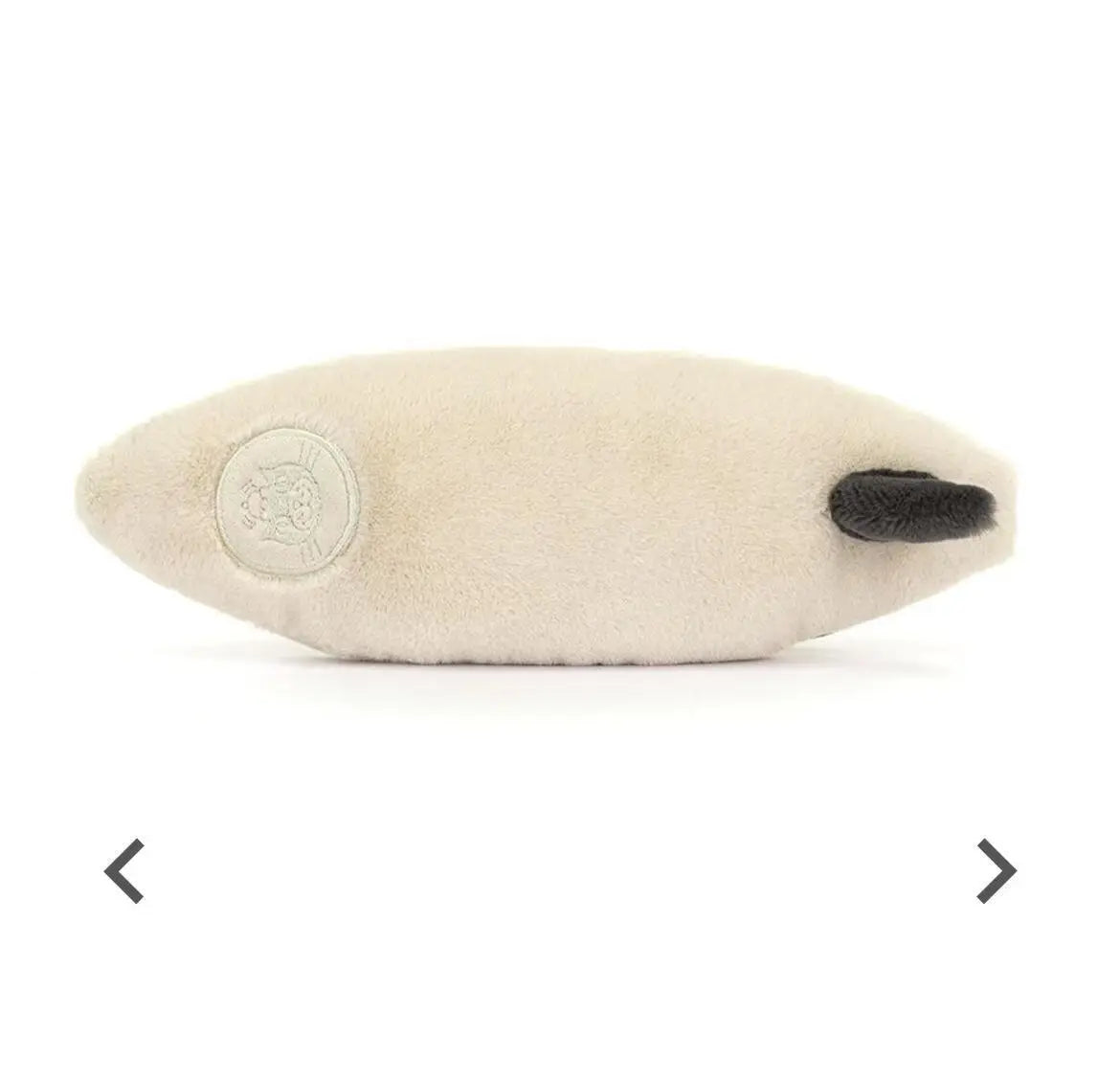 Plush Cat Toy - Interactive Coral Cat Plush Surfboard Doll 10cm | Soft PP Cotton Plaything - ZOOMNSTORE