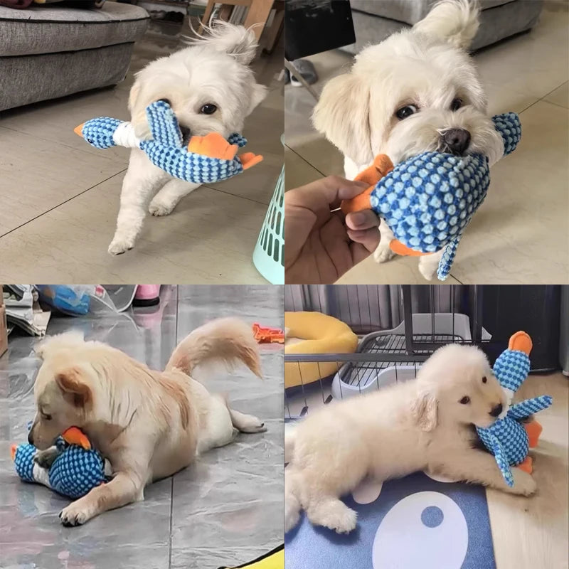 Plush Goose Dog Toy - Chew  Squeak Toy for Small to Large Dogs and Cats - ZOOMNSTORE