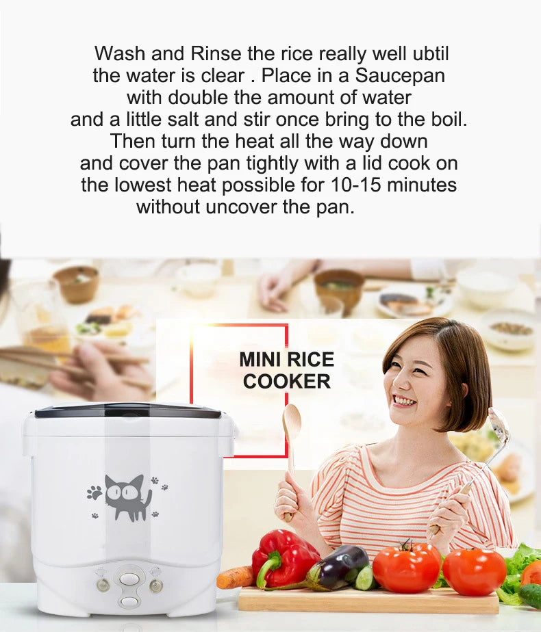 Portable Electric Rice Cooker - Multi-Cooker for Home  Vehicle 12V24V220V - ZOOMNSTORE
