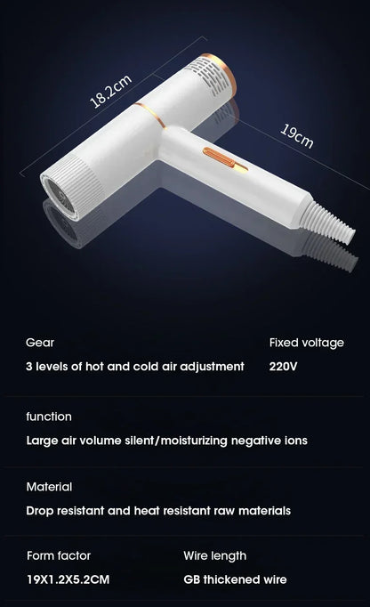 Professional Hair Dryer - Powerful Fast Heating Styler with Dual Voltage & Foldable Handle - ZOOMNSTORE