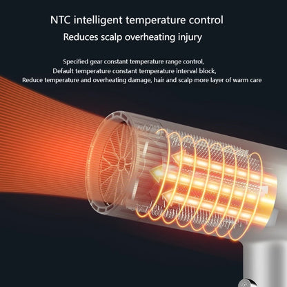 Professional Hair Dryer – Quick Drying Ionic Hair Styling Tool With High Wind Power - ZOOMNSTORE