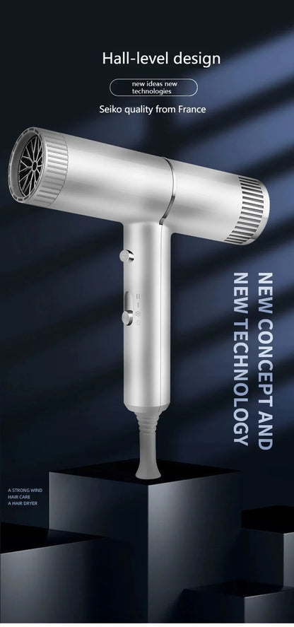 Professional Hair Dryer – Quick Drying Ionic Hair Styling Tool With High Wind Power - ZOOMNSTORE