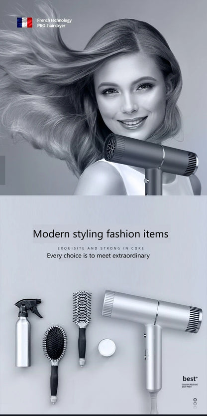 Professional Hair Dryer – Quick Drying Ionic Hair Styling Tool With High Wind Power - ZOOMNSTORE
