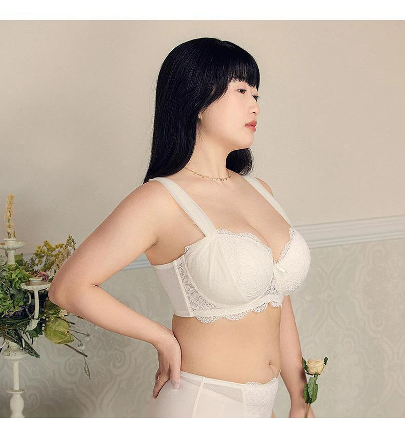 Push Up Lace Bra - Large Size Lingerie With Underwire Support & Adjustable Straps - ZOOMNSTORE