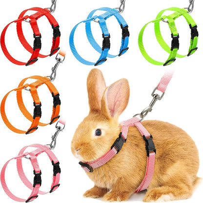 Adjustable Rabbit  Cat Harness Leash Set - Nylon Outdoor Walking Accessories - ZOOMNSTORE
