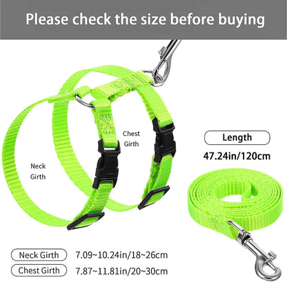 Adjustable Rabbit  Cat Harness Leash Set - Nylon Outdoor Walking Accessories - ZOOMNSTORE