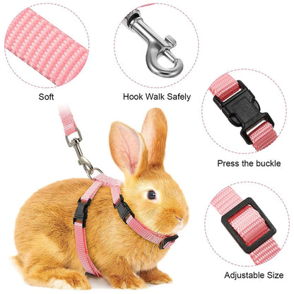 Adjustable Rabbit  Cat Harness Leash Set - Nylon Outdoor Walking Accessories - ZOOMNSTORE