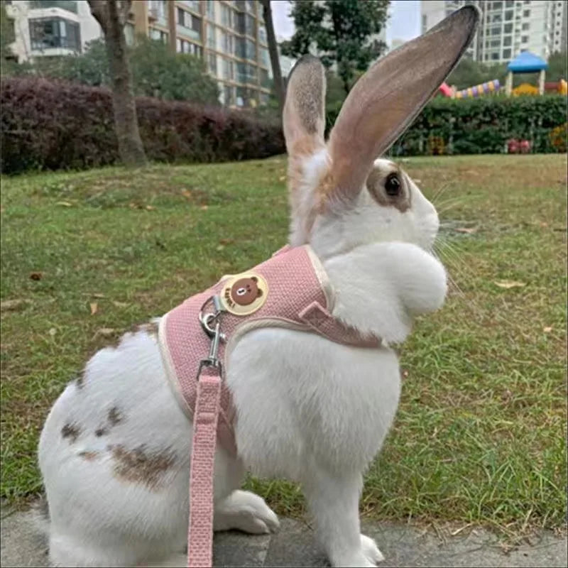 Cute Rabbit Harness and Leash Set - Bunny Vest for Outdoor Walking - ZOOMNSTORE