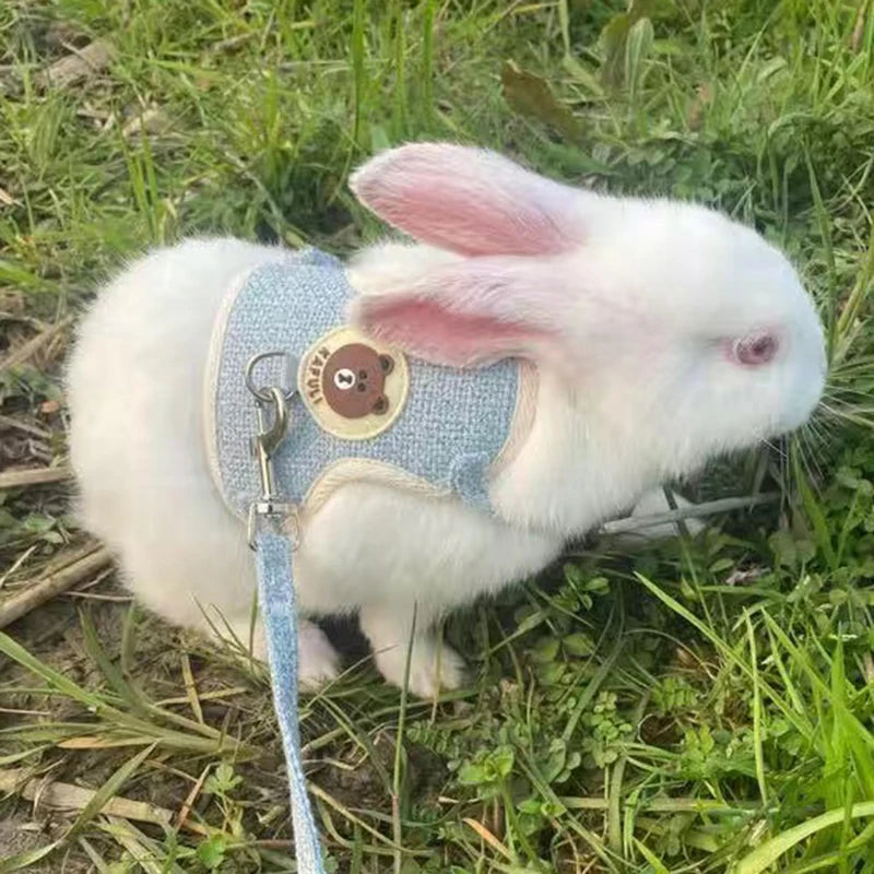 Cute Rabbit Harness and Leash Set - Bunny Vest for Outdoor Walking - ZOOMNSTORE