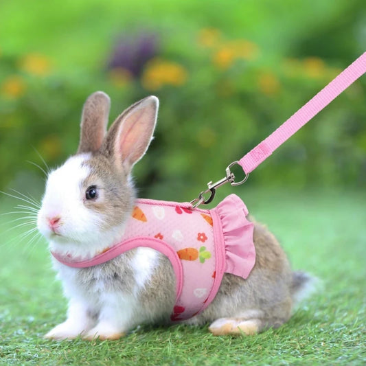 Rabbit Harness with Leash - Adjustable Breathable Mesh Vest for Small Pets - ZOOMNSTORE