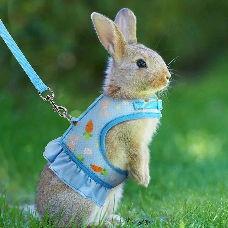 Rabbit Harness with Leash - Adjustable Breathable Mesh Vest for Small Pets - ZOOMNSTORE