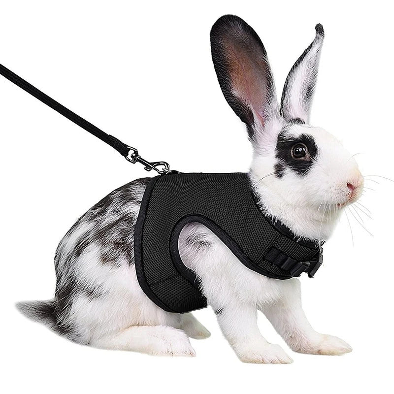 Rabbit Harness with Leash Set - Adjustable Soft Vest for Small Pets - ZOOMNSTORE
