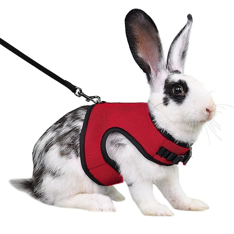 Rabbit Harness with Leash Set - Adjustable Soft Vest for Small Pets - ZOOMNSTORE