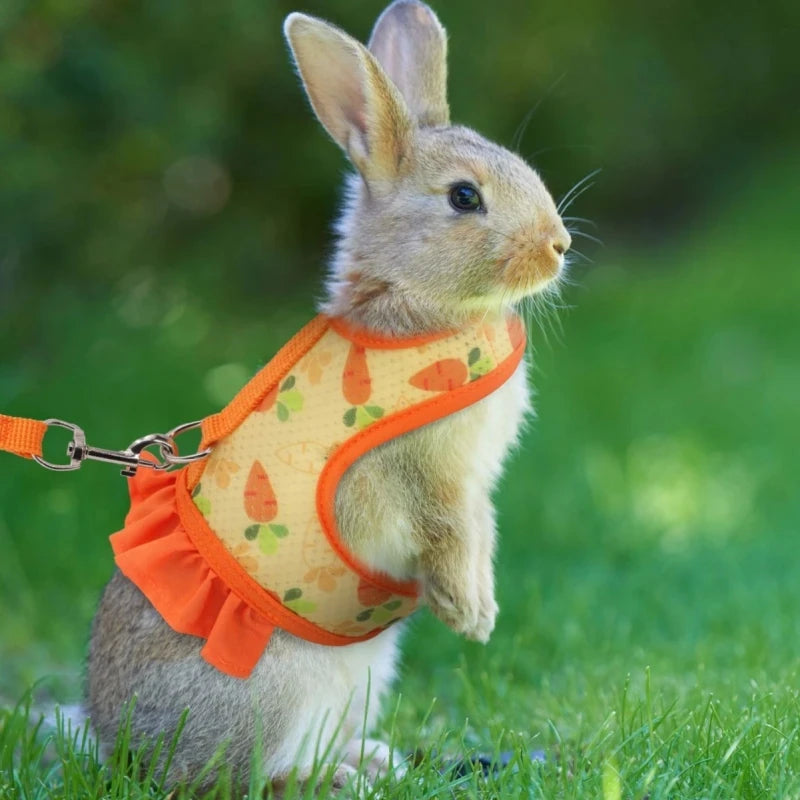 Rabbit Harness with Leash - Adjustable Breathable Mesh Vest for Small Pets - ZOOMNSTORE