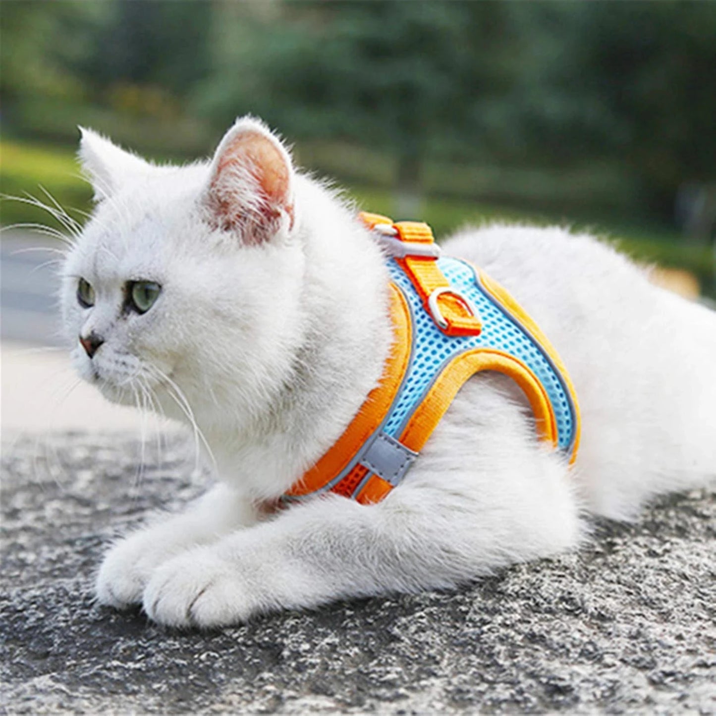 Reflective Cat Harness and Leash Set - Adjustable Pet Harness for Cats and Small Dogs - ZOOMNSTORE