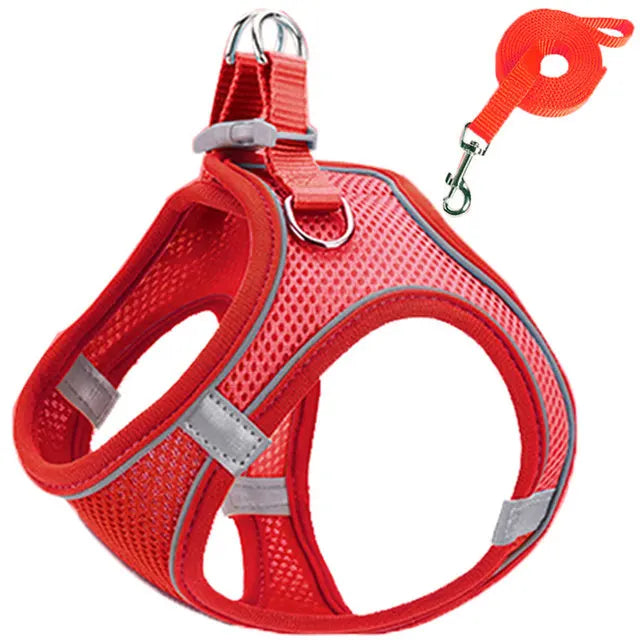 Reflective Cat Harness and Leash Set - Adjustable Pet Harness for Cats and Small Dogs - ZOOMNSTORE