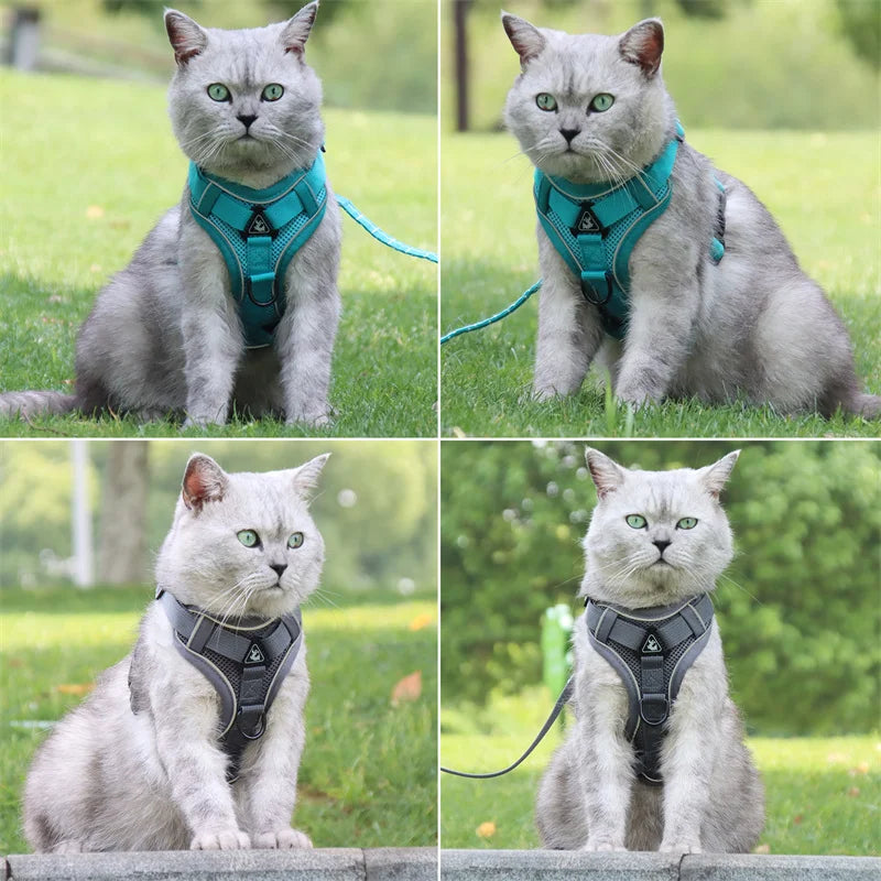 Reflective Cat Harness and Leash Set - Breathable Mesh for Small Dogs and Cats - ZOOMNSTORE