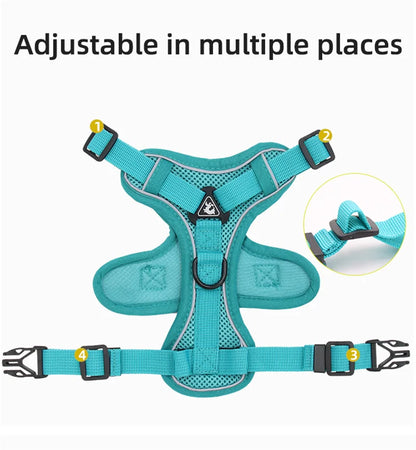 Reflective Cat Harness and Leash Set - Breathable Mesh for Small Dogs and Cats - ZOOMNSTORE