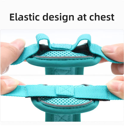 Reflective Cat Harness and Leash Set - Breathable Mesh for Small Dogs and Cats - ZOOMNSTORE