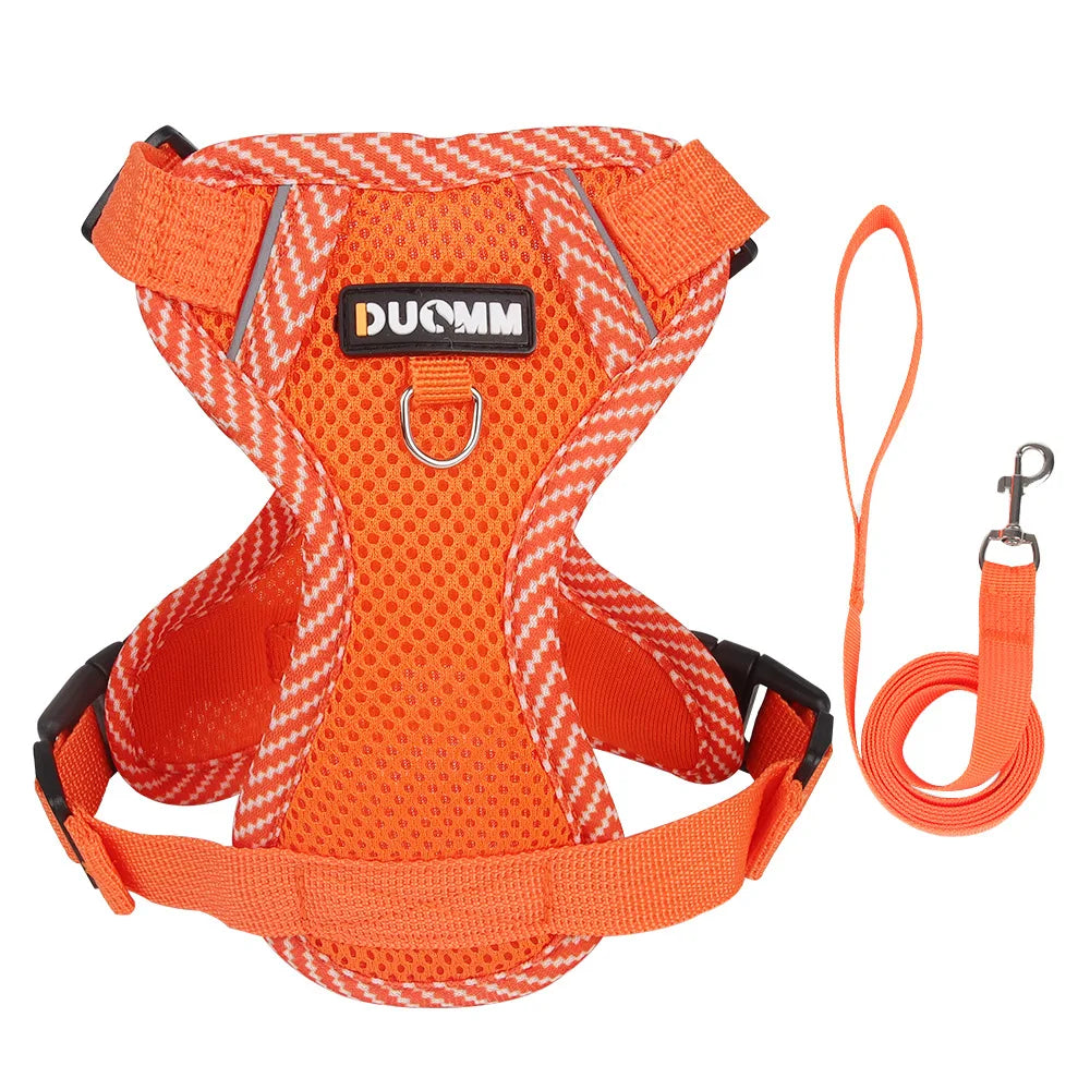 Reflective Cat Harness and Leash Set - Breathable Mesh for Small Dogs and Cats - ZOOMNSTORE