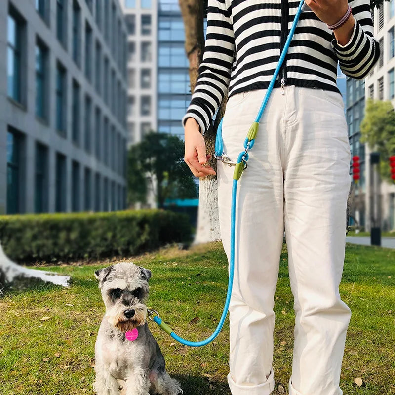 Reflective Nylon Dog Leash - Hands-Free Traction Rope for Small  Large Dogs - ZOOMNSTORE