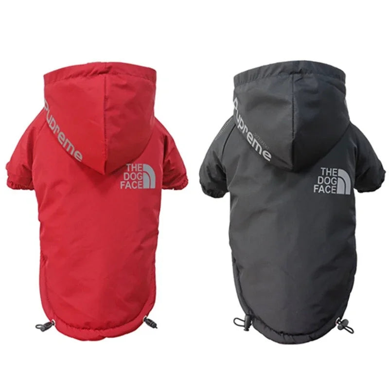 ZOOMNSTORE