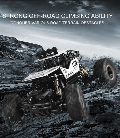 Oike 4WD RC Off-Road Climbing Car - Remote Control All Terrain Truck for Kids  Adults - ZOOMNSTORE