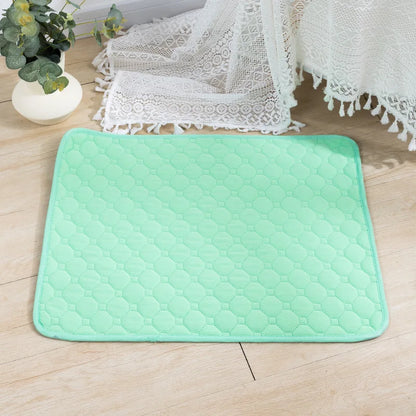 Reusable Dog Pee Pad Blanket - Washable Absorbent Puppy Training Mat  Pet Bed Urine Mat - ZOOMNSTORE