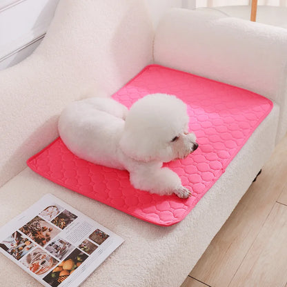Reusable Dog Pee Pad Blanket - Washable Absorbent Puppy Training Mat  Pet Bed Urine Mat - ZOOMNSTORE