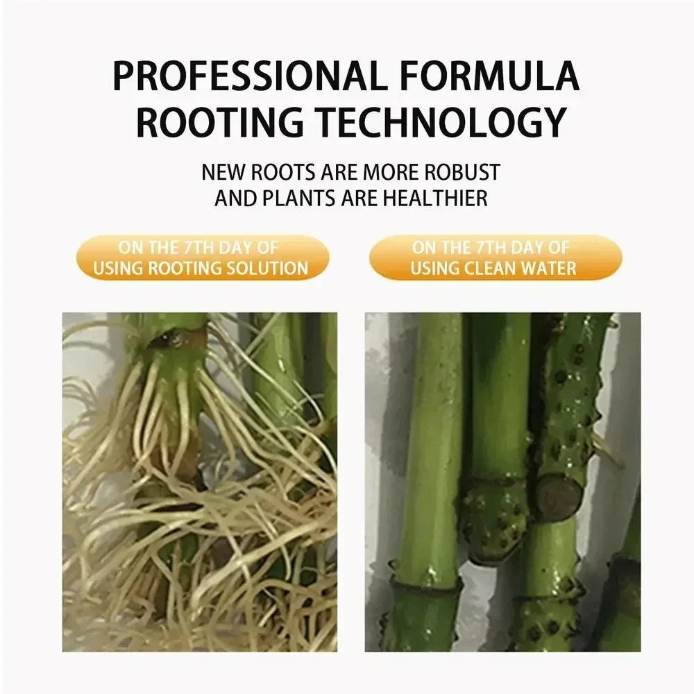 Fast Rooting Stimulator - Rapid Rooting Agent for Houseplants and Gardens - ZOOMNSTORE