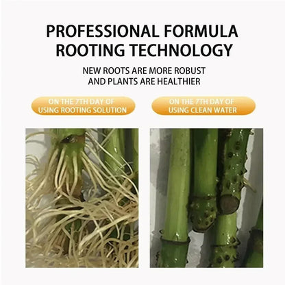 Fast Rooting Stimulator - Rapid Rooting Agent for Houseplants and Gardens - ZOOMNSTORE