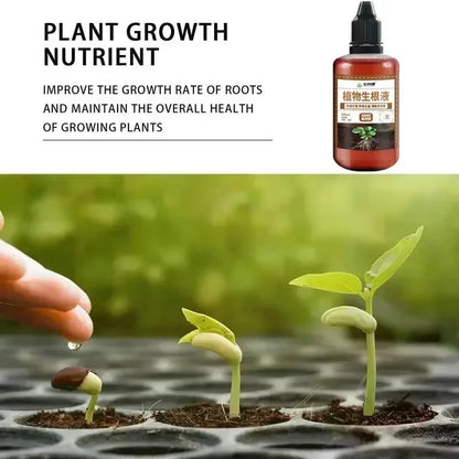 Fast Rooting Stimulator - Rapid Rooting Agent for Houseplants and Gardens - ZOOMNSTORE
