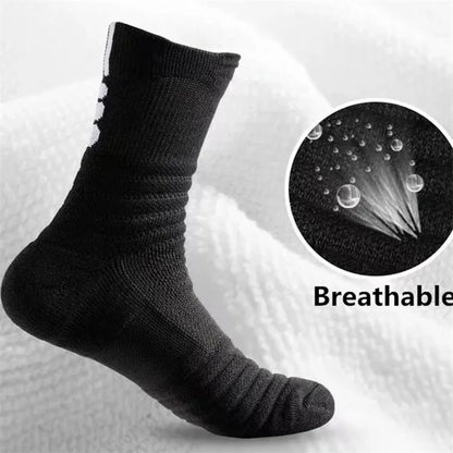 Running Ankle Socks - Cushioned Short Sports Socks for Men & Women | Breathable, Moisture Wicking - ZOOMNSTORE