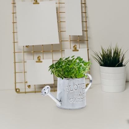 Rustic Iron Flower Vase - Decorative Metal Jug & Portable Watering Can for Wedding Table Centerpiece - ZOOMNSTORE