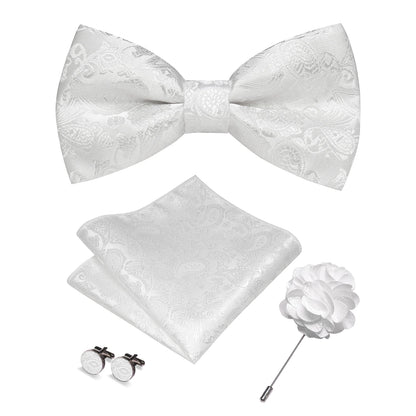 Champagne Silk Jacquard Paisley Bow Tie Set - Pre-tied Bowtie Brooch Hanky  Cufflinks for Weddings  Business